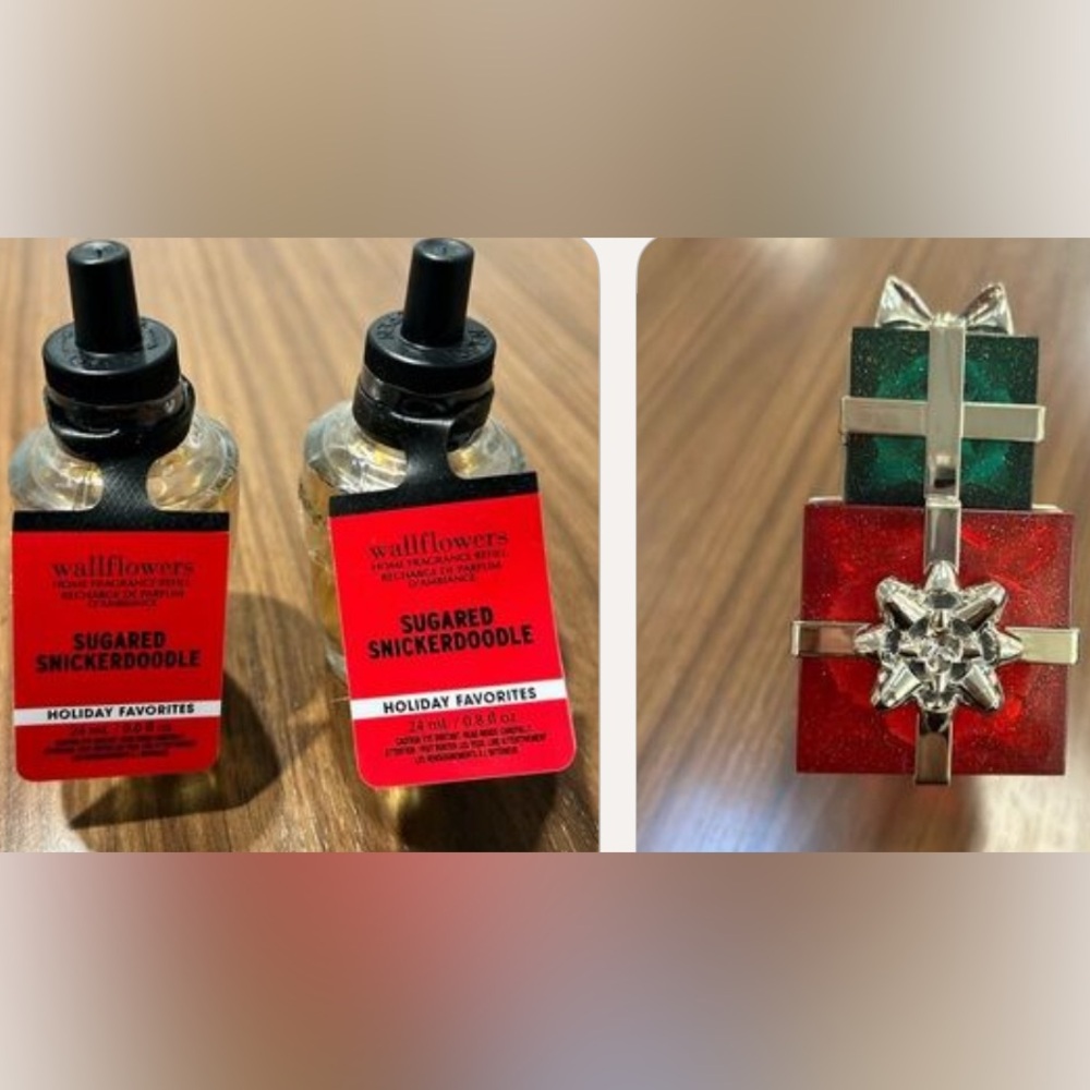 BBW Bundle Deal Wallflowers & Plug in.